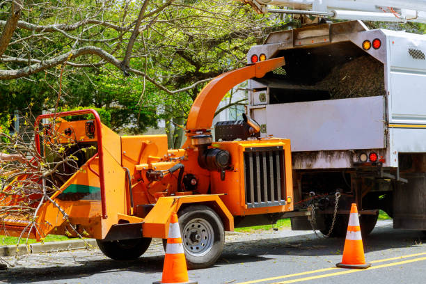 How Our Tree Care Process Works  in  Vonore, TN